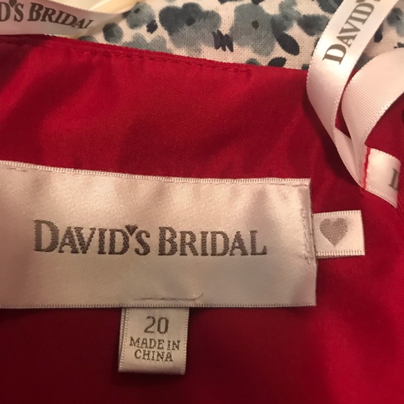 Size 20 David’s Bridal Cocktail Dress - Picture 5 of 5